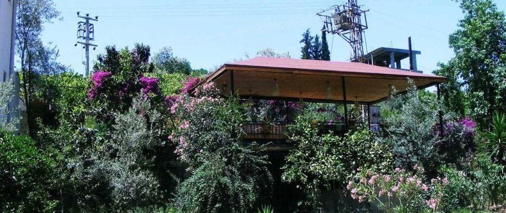 לינה וארוחת בוקר Eucalyptus 2*
